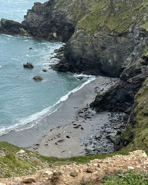 Image hidden-cornwall-itinerary-woodland-and-coastal-paths-with-tehidy-north-cliffs-1777976423 for 