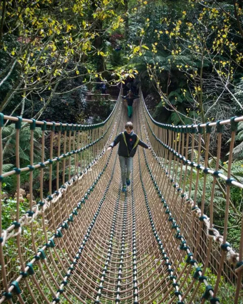 Image inside-the-season-of-stillness-slowing-down-this-winter-in-cornwall-1761925824 for 