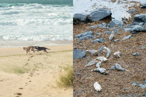 Image spring-adventures-a-cornish-gems-guide-to-3-night-breaks-1769012722 for