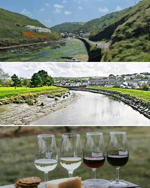 Image summer-in-north-cornwall-1771594562 for 