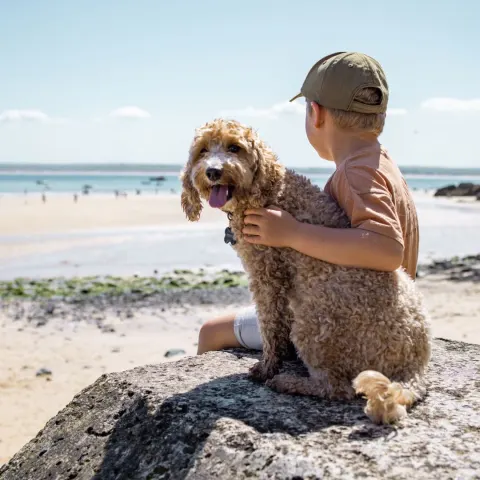 Image the-best-beaches-in-cornwall-for-every-kind-of-beach-day-1791556059 for Dog-friendly beach holiday in Cornwall