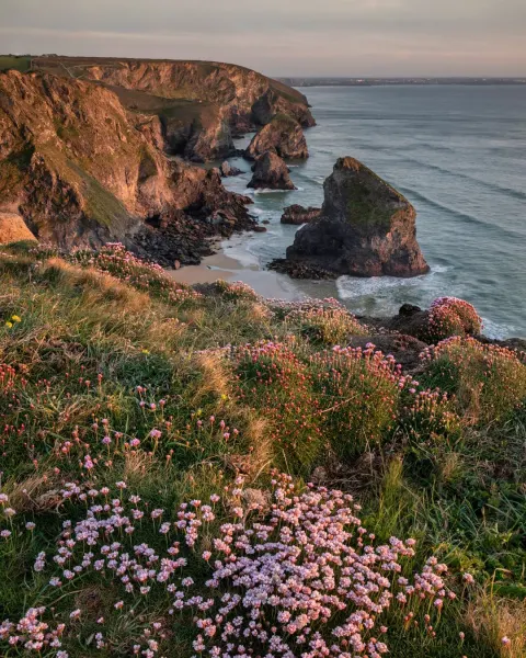 Image the-best-coastal-walks-in-cornwall-1781096848 for An image of the South West Coast Path in spring, in Cornwall