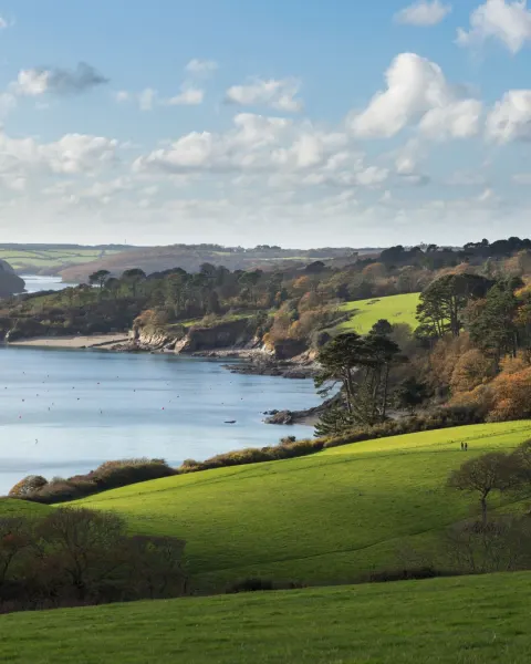 Image the-best-coastal-walks-in-cornwall-1781097339 for An image of The Helford River