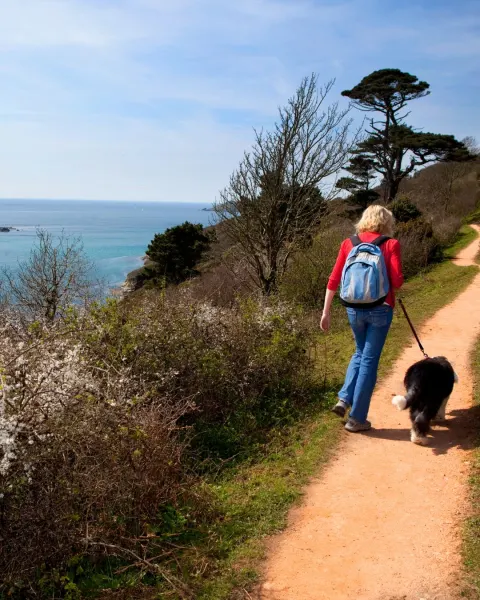 Image the-best-coastal-walks-in-cornwall-1781097450 for An image of a woman walking their dog on the coast path