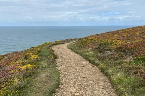 Image the-coastpath-wanderer-top-10-places-to-go-hiking-in-cornwall-1762953312 for 