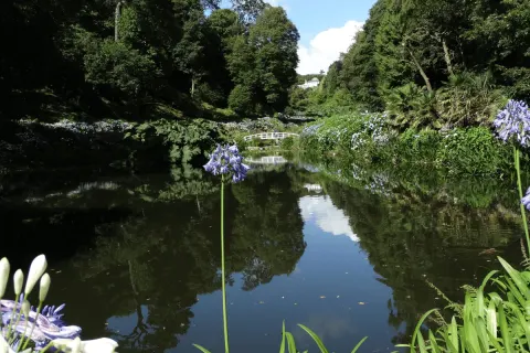 Image the-gardeners-paradise-cornwall-in-bloom-1762962919 for 