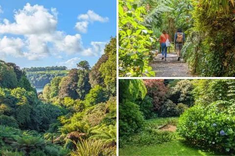 Image the-gardeners-paradise-cornwall-in-bloom-1762963021 for 