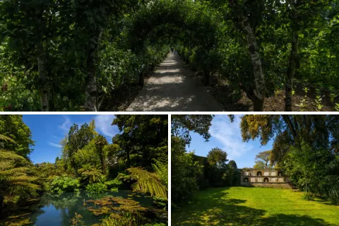 Image the-gardeners-paradise-cornwall-in-bloom-1762963122 for 