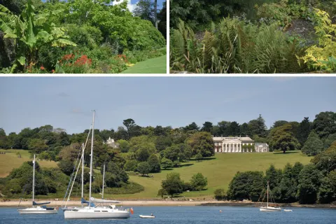 Image the-gardeners-paradise-cornwall-in-bloom-1762963293 for 