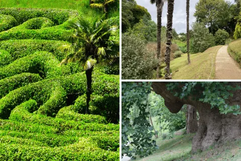 Image the-gardeners-paradise-cornwall-in-bloom-1762963385 for 