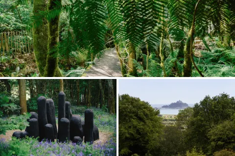 Image the-gardeners-paradise-cornwall-in-bloom-1762963483 for 