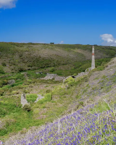 Image the-other-side-of-cornwall-this-summer-1779359585 for 