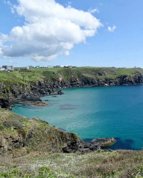 Image the-other-side-of-cornwall-this-summer-1779360154 for 