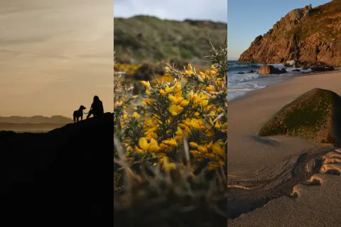 Image the-prelude-to-winter-in-cornwall-1761826017 for 