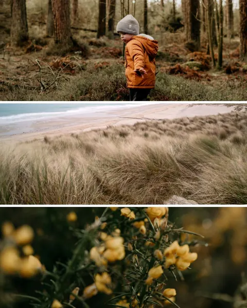 Image travelling-through-the-senses-the-sound-of-cornwall-1771944580 for