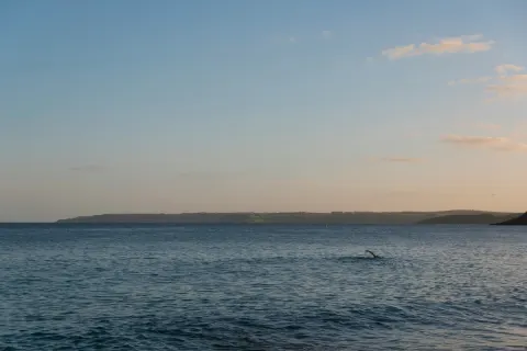 Image why-winter-is-cornwalls-best-kept-secret-1762942530 for