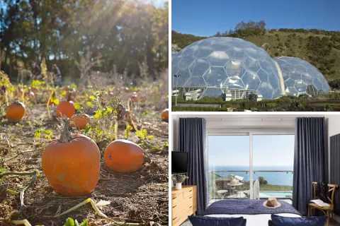 Image your-october-half-term-cornish-quest-1762948091 for 