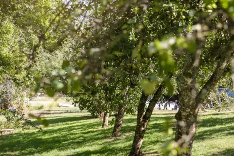 Photo 4 of Boslagen