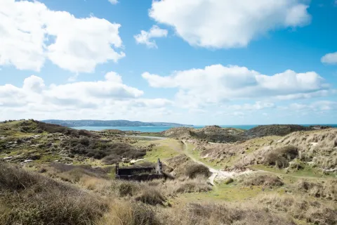 Photo 2 of Driftwood