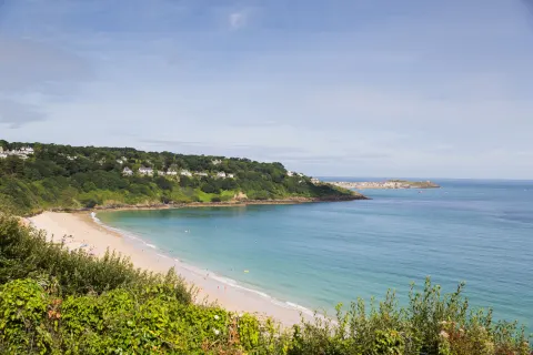 Photo 3 of Godrevy Blue